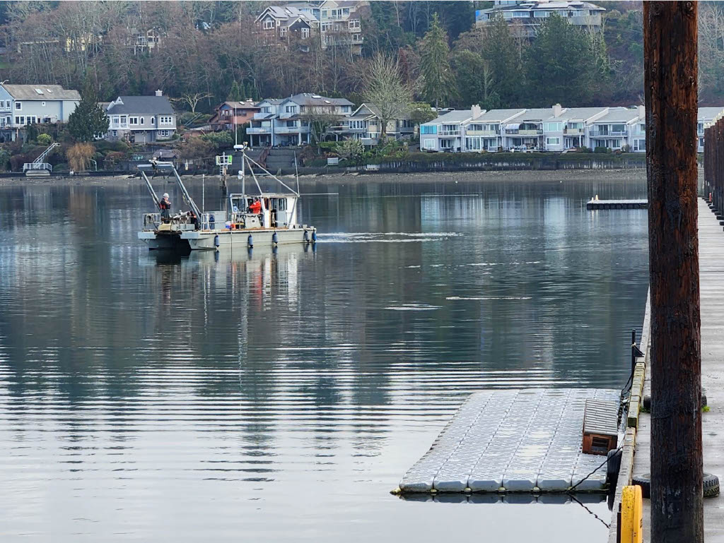 Small Research Boat in Budd Inlet