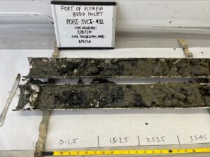 Close-up photo taken of soil sample and labeled "Port of Olympia Budd Inlet. Core Collected 2/8/24