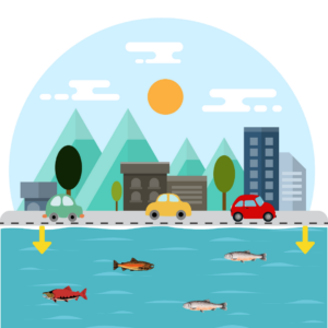 Illustration of city and a road with cars next to a body of water with fish swimming in it.