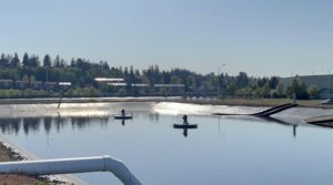 View of the Oxidation Pond at Port of Olympia's stormwater treatment facility.