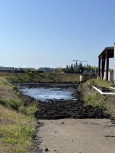 View of the sediment collection pond at Port of Olympia's stormwater treatment facility.
